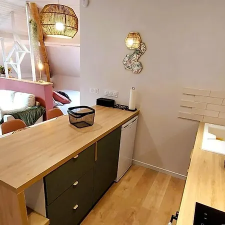 Apartamento Chaleureux Classe 3 Etoiles - Idealement Situe