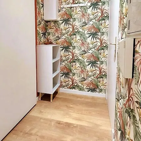 Chaleureux Classe 3 Etoiles - Idealement Situe Apartment Bagneres-de-Bigorre